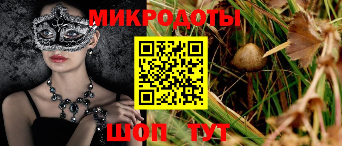 Псилоцибиновые грибы Cubensis  Вход с VPN  Елизово  Псилоцибиновые грибы GOLDEN TEACHER 