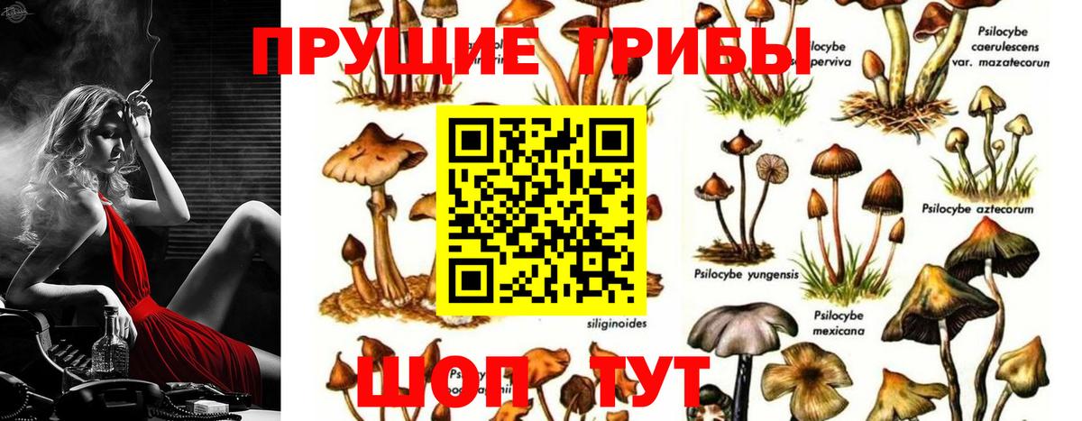 Галлюциногенные грибы Magic Shrooms Елизово